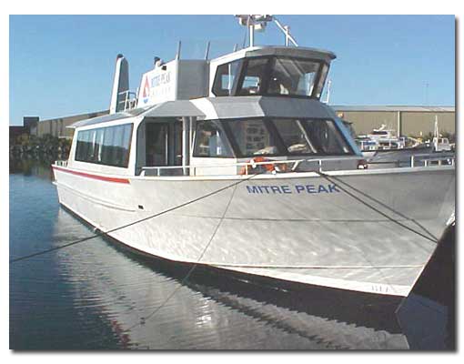 ITW Polymers Coatings N 2 oz White Marine Tex RM305C - Boat Owners